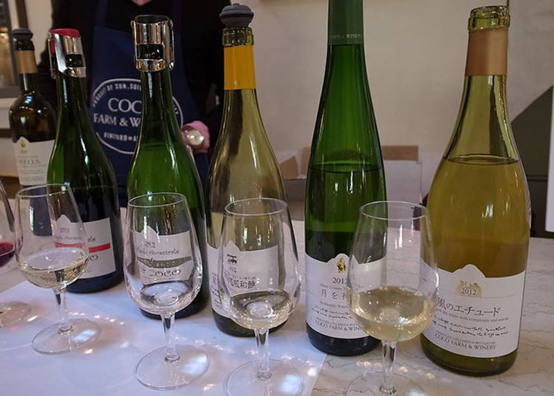 Koshu-FOS-kanto