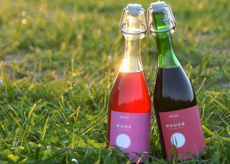 ROUGE-ROSE-Tsukuba-Primo