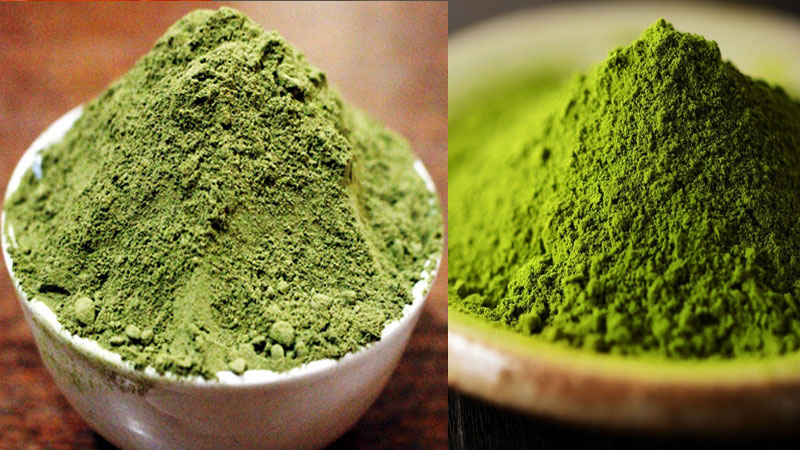 difference-matcha-vs-green-tea