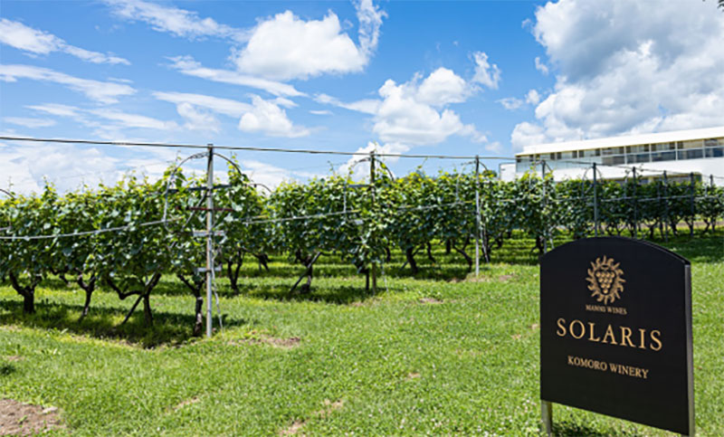 manns-winery