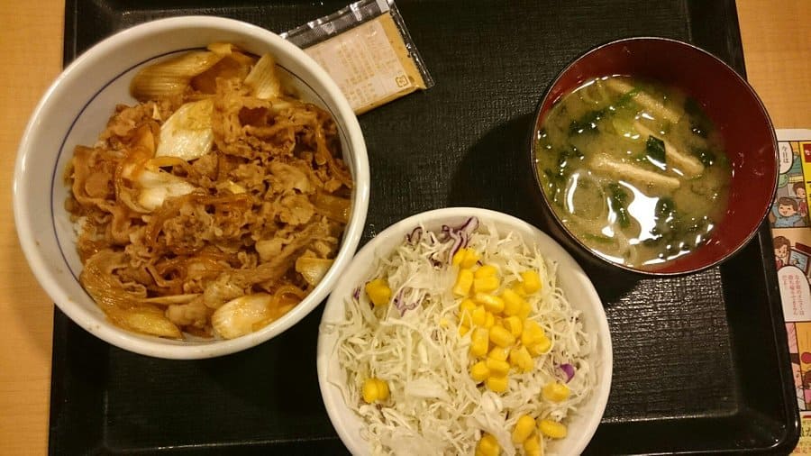 Japanese-beef-bowl-10